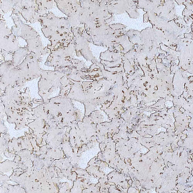 Настенная пробка в пластинах Ibercork Лерида Невада, 1 м.кв.